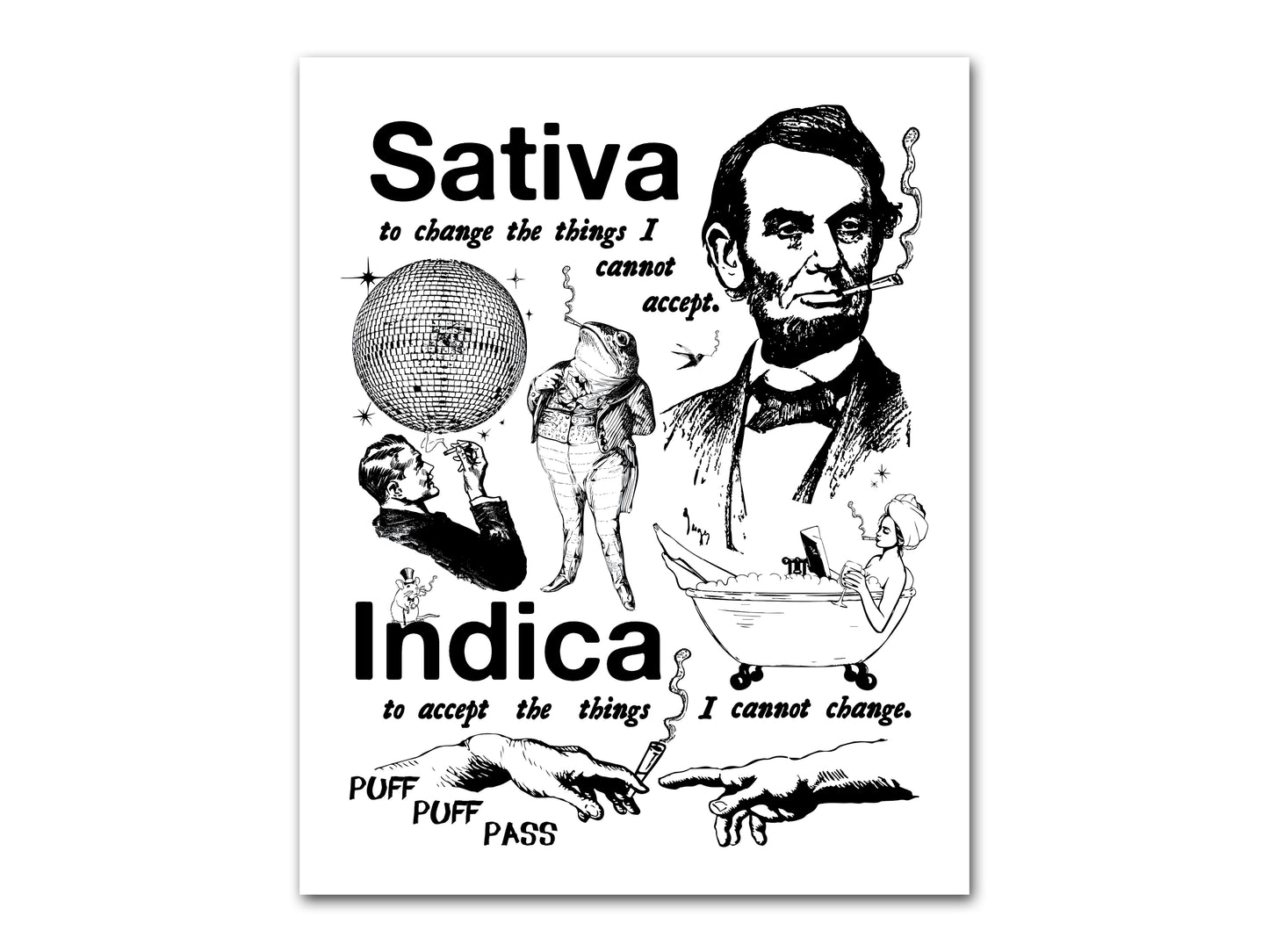 SATIVA VS INDICA